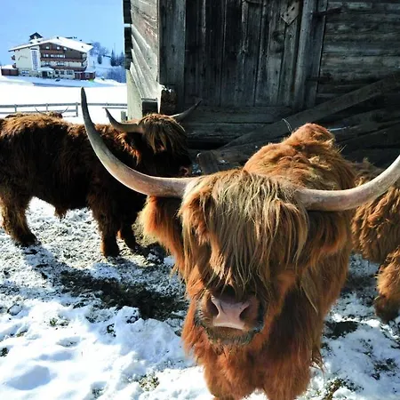 Garni Monte 3* Kartitsch