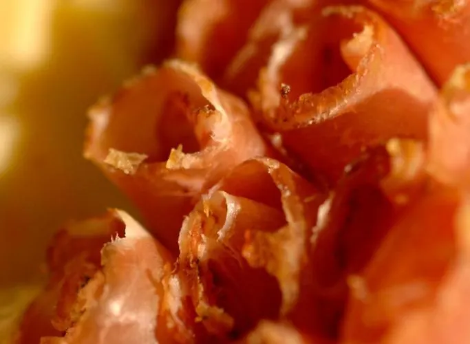 Apart Otel Garni Monte 3*